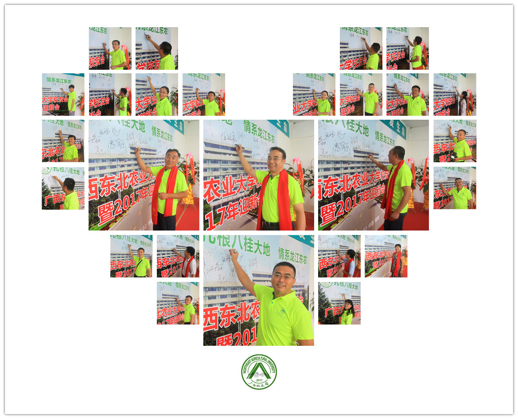 1508133064891085082.jpg 12.jpg