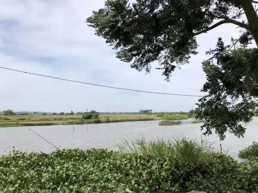 1565934425341091218.jpg 10.webp.jpg