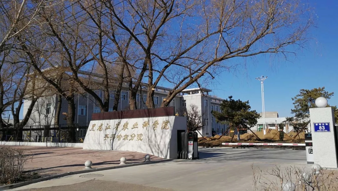 1551079199212083183.jpg 1.webp.jpg