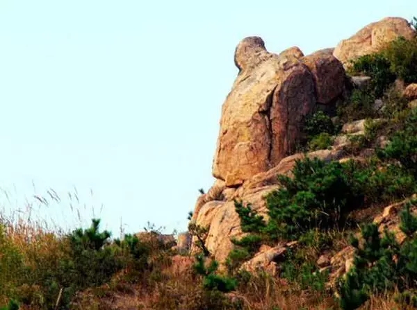 1507512733446056236.jpg 4.webp.jpg