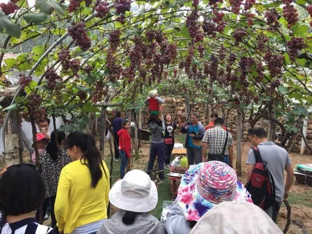 1507512712573032205.jpg 2.webp.jpg