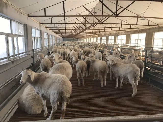 1512719537168058618.jpg 7.webp.jpg