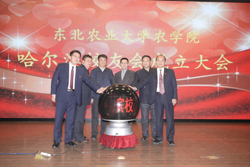 1481598327292078052.jpg 13.jpg