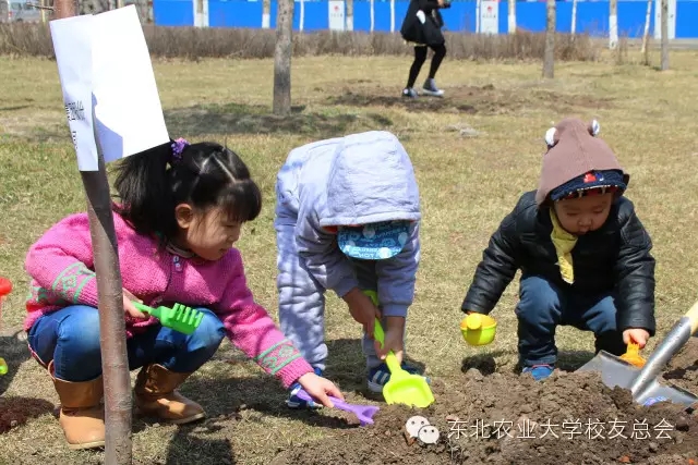 1461827695476046258.jpg 141414.webp.jpg