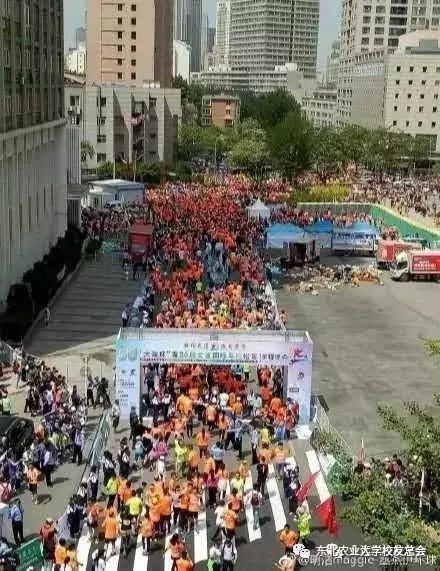 1496215664977086018.jpg 5.webp.jpg