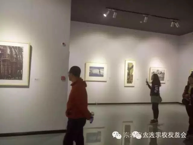 1459236802476026691.jpg 7.webp.jpg