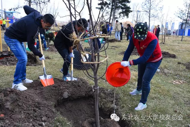 1461827657178037489.jpg 101010.webp.jpg