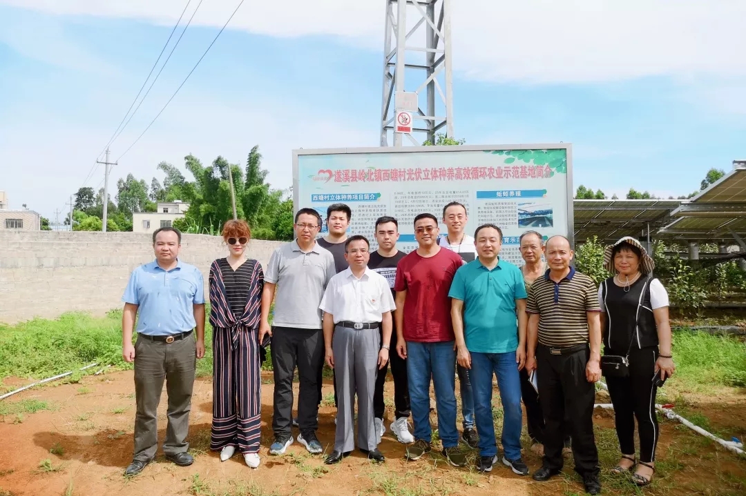 1565924703263037865.jpg 3.webp.jpg