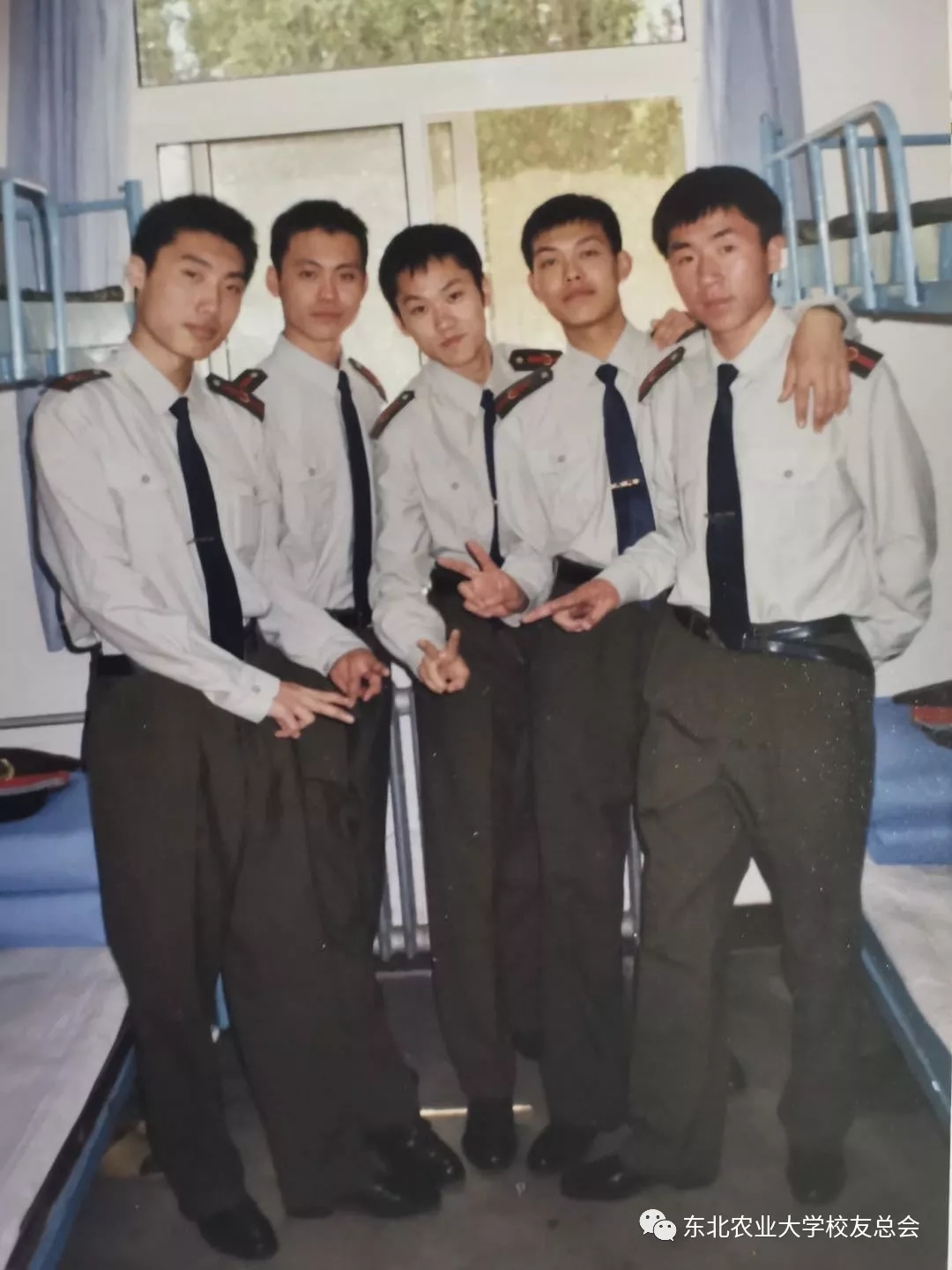 1575269247009017791.jpg 1.webp.jpg