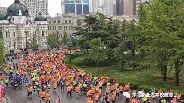 1496215680140038689.jpg 6.webp.jpg