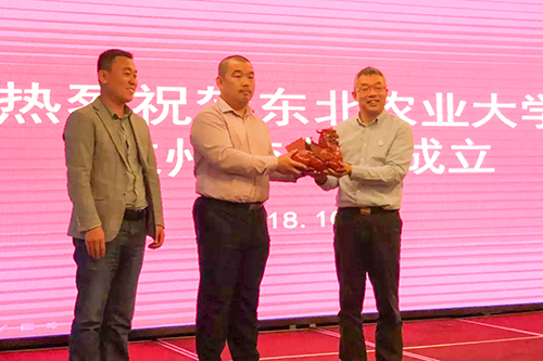 1540368774055023209.jpg 7.jpg