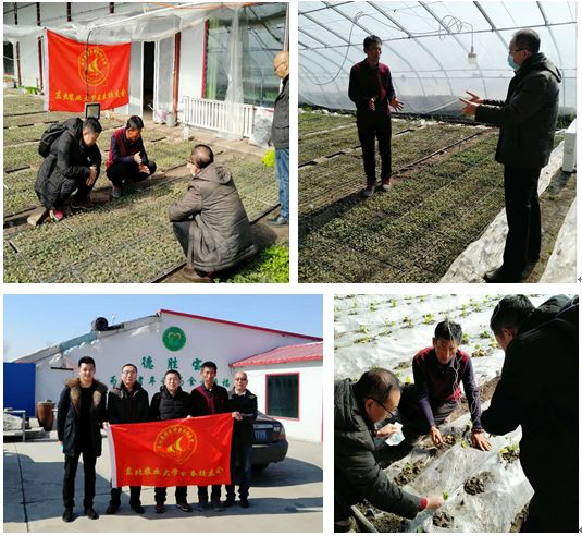 1591683550077017691.png 微信图片2.png