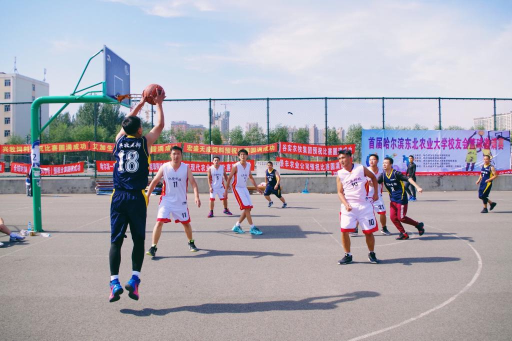 1506405443217002446.jpg 10.jpg