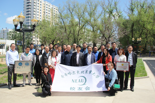 1559629159120068860.jpg 8.jpg