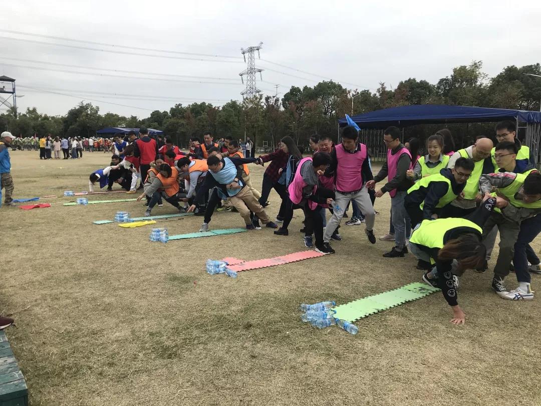 1540195875410029173.jpg 8.jpg