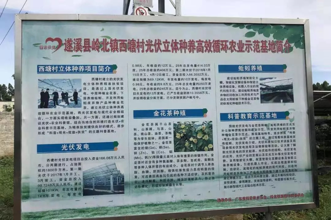 1565925459537029084.jpg 4.webp.jpg