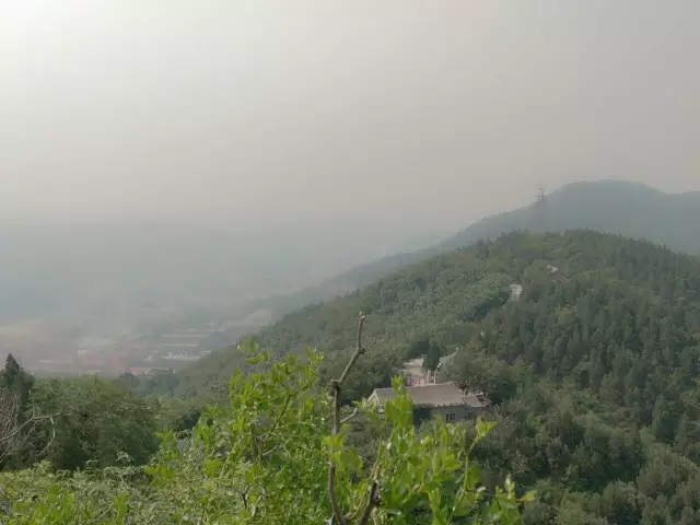 1464748696067038971.jpg 9.webp.jpg