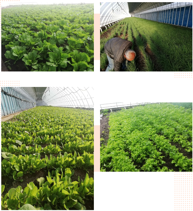 1591686516516008155.png 4.png