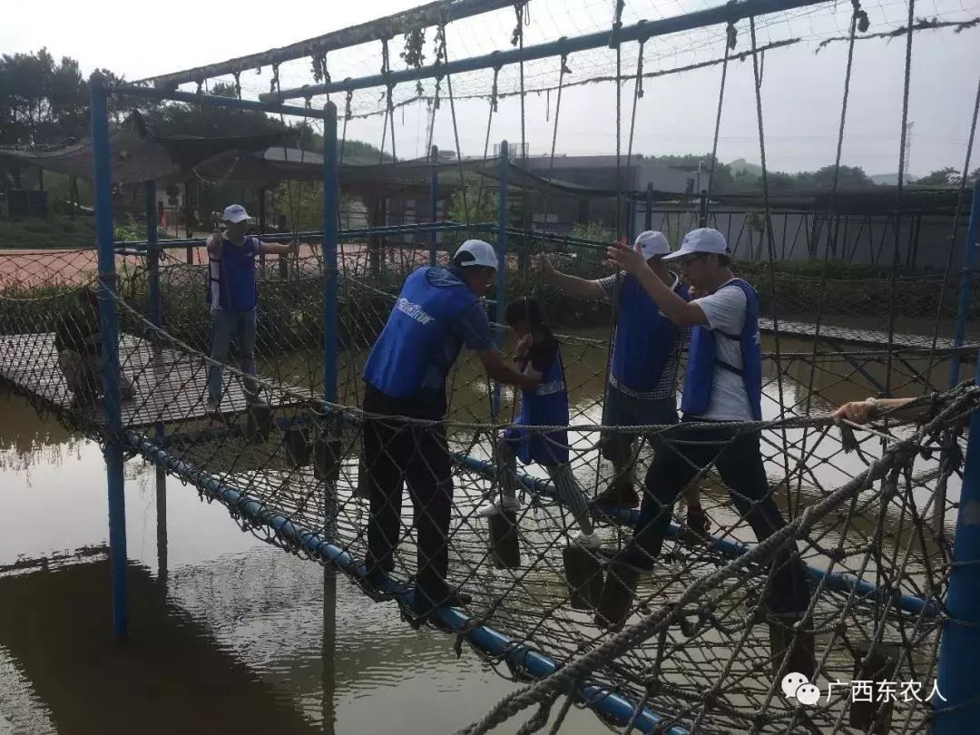 1535439343941050527.jpg 6.webp.jpg