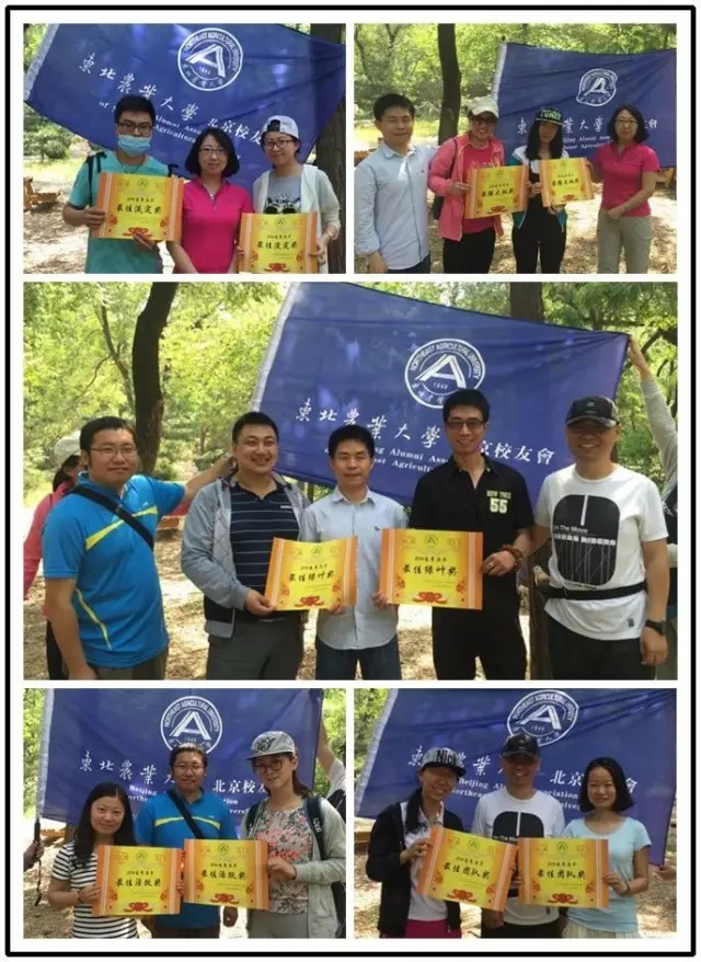 1464748817357072123.jpg 13.webp.jpg