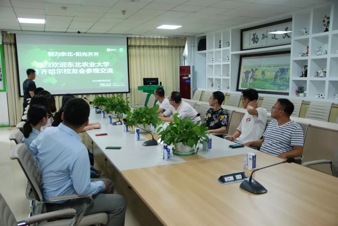 1567044968342071314.jpg 12.webp.jpg