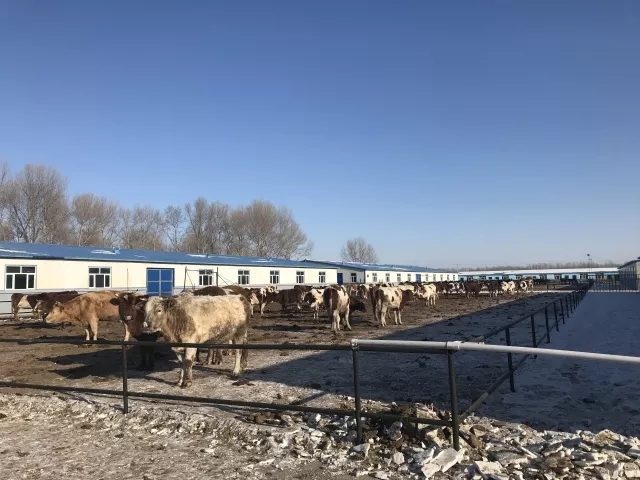 1512719532160027226.jpg 6.webp.jpg