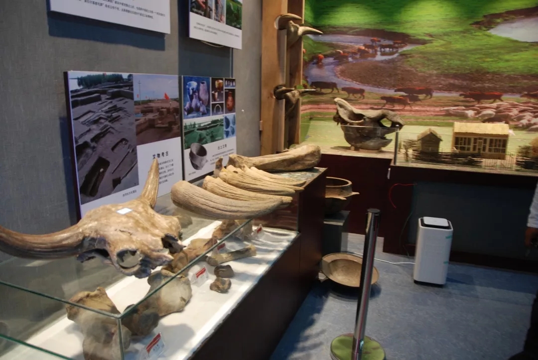 1567044908082030022.jpg 7.webp.jpg