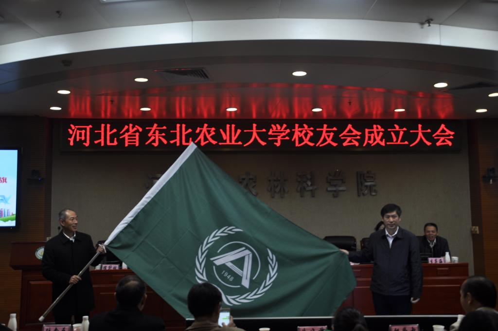 1511246234431016280.jpg 3.jpg