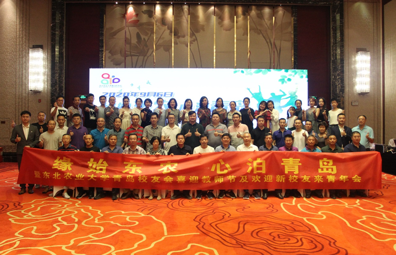 1603291901819059140.png 青岛1.png