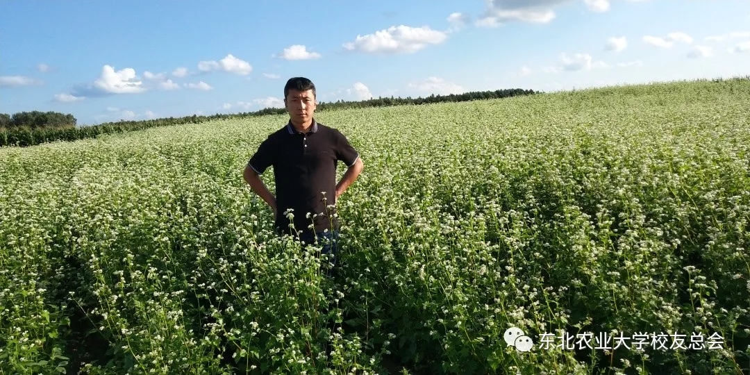 1575269757067026155.jpg 1.webp.jpg