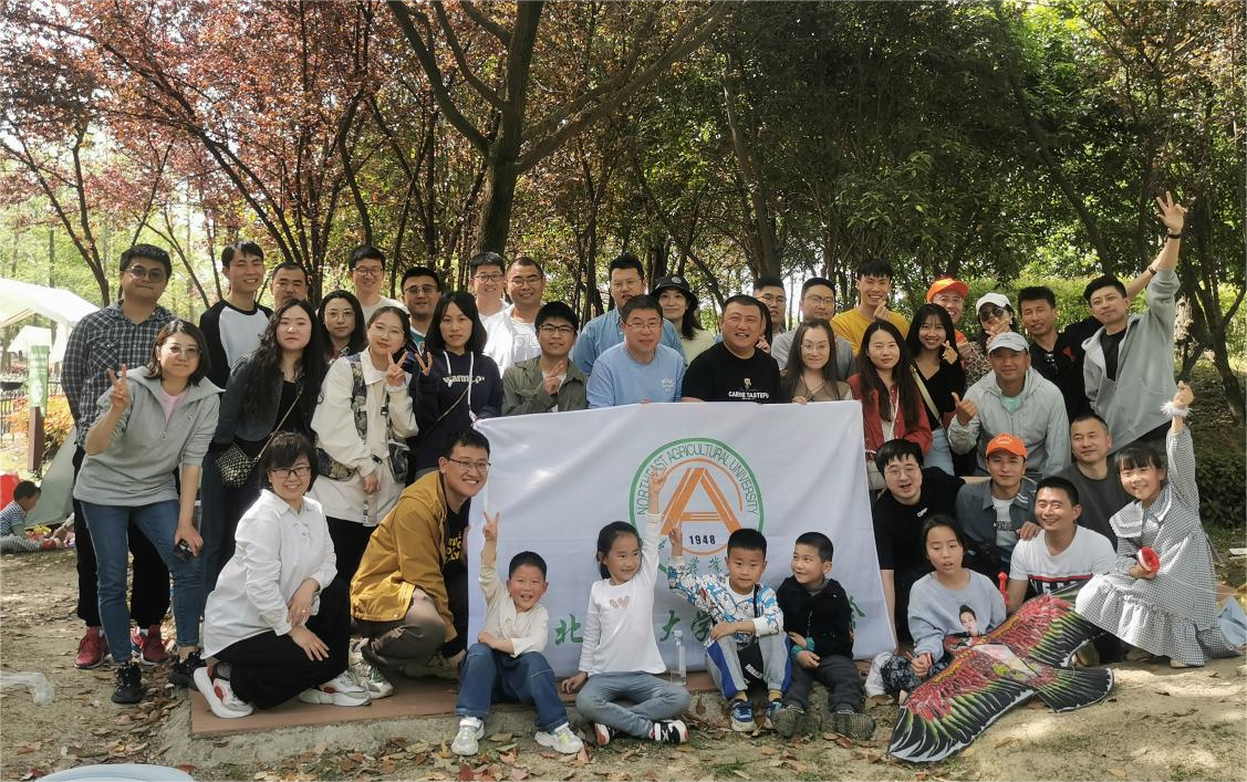 1682045649021071456.png 62.png