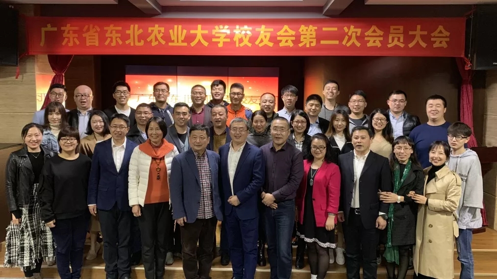 1548661199527058967.jpg 1.webp.jpg