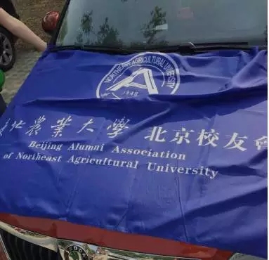 1464748309983053097.jpg 4.webp.jpg