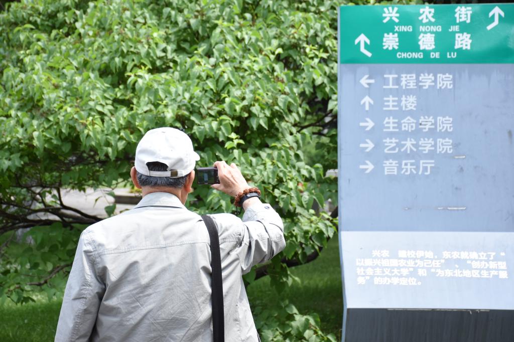 1497853301783093741.jpg 333.jpg