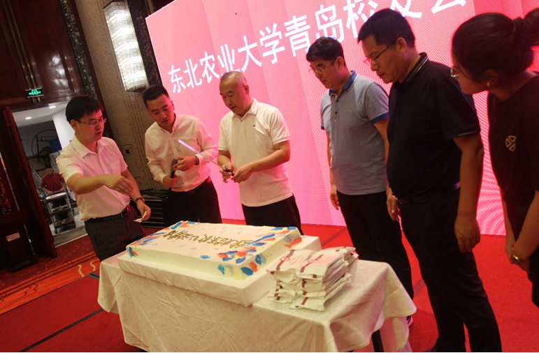 1603292048210034933.png 青岛8.png