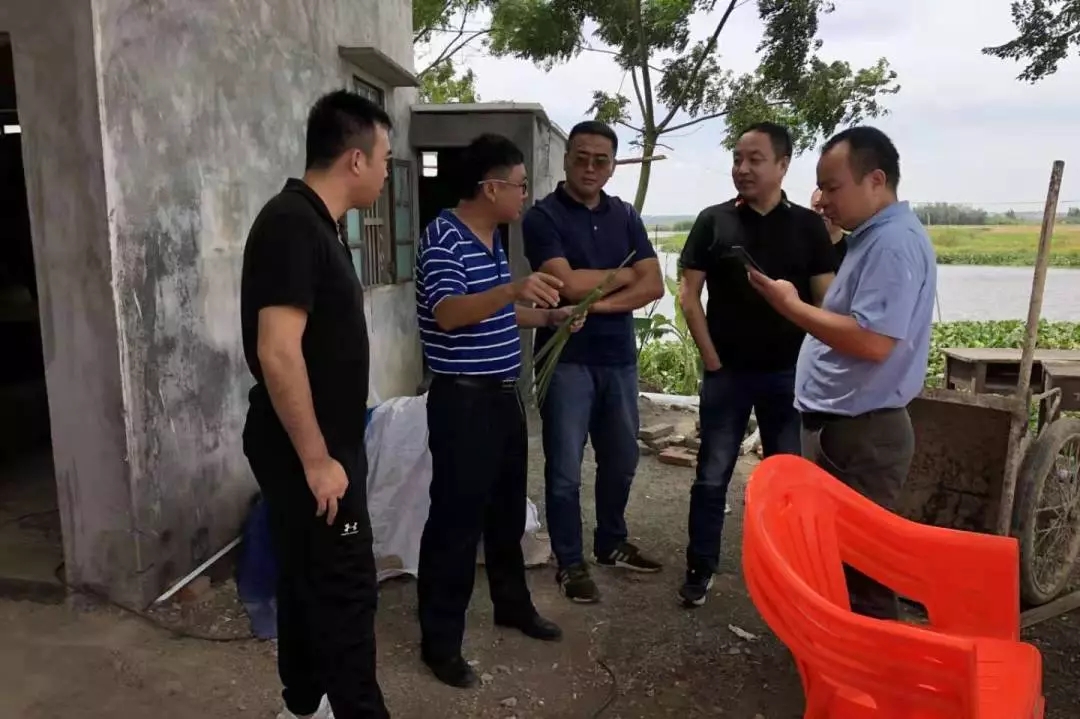 1565934458865057268.jpg 12.webp.jpg