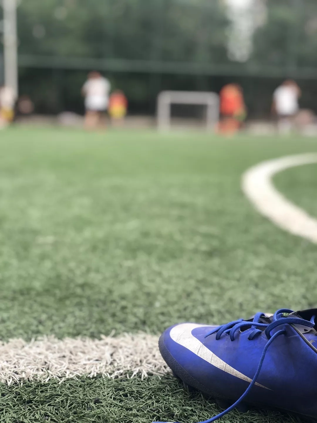 1558407191318036160.jpg 5.webp.jpg