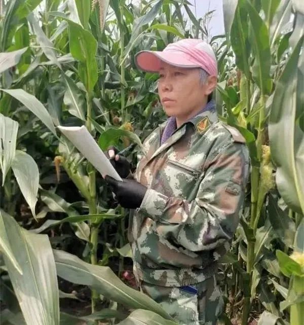 1652431096829598255.jpg 38.jpg