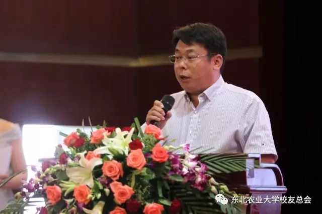 1504774113277029011.jpg 4.webp.jpg