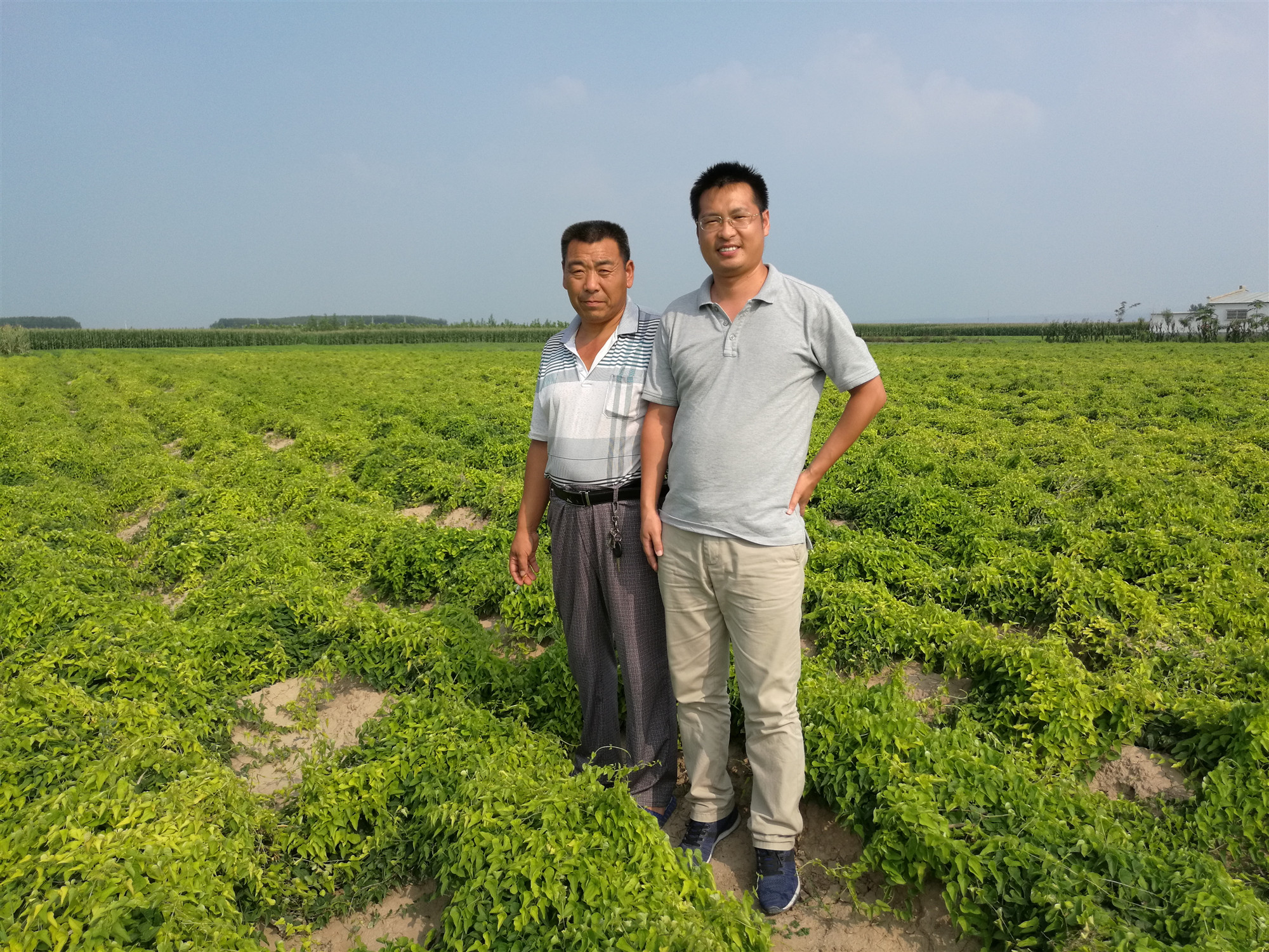 1558943853163093033.jpg 3.jpg