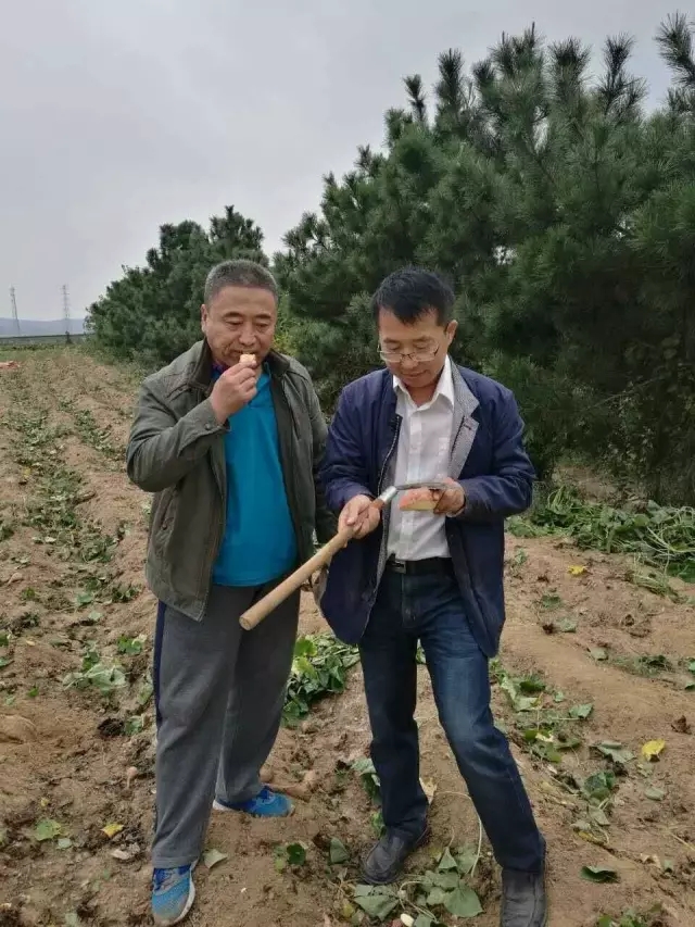 1476759818846026377.jpg 555.webp.jpg