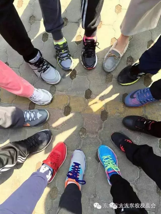 1459236589893098088.jpg 1.webp.jpg