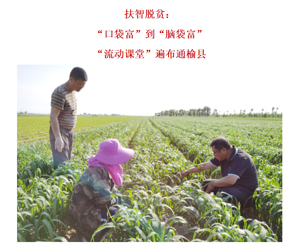 1654762761270092778.png 4.png