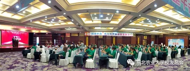 1504774085104032814.jpg 1.webp.jpg