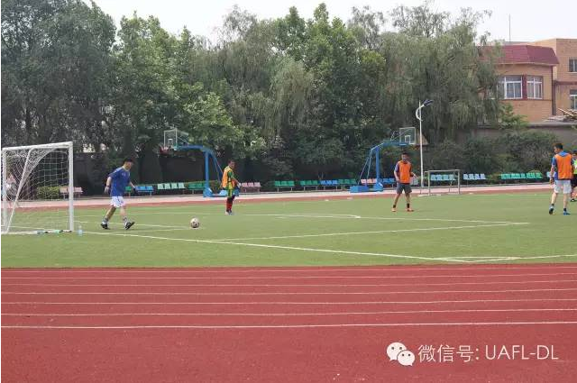 1436842645865008189.png 3.png