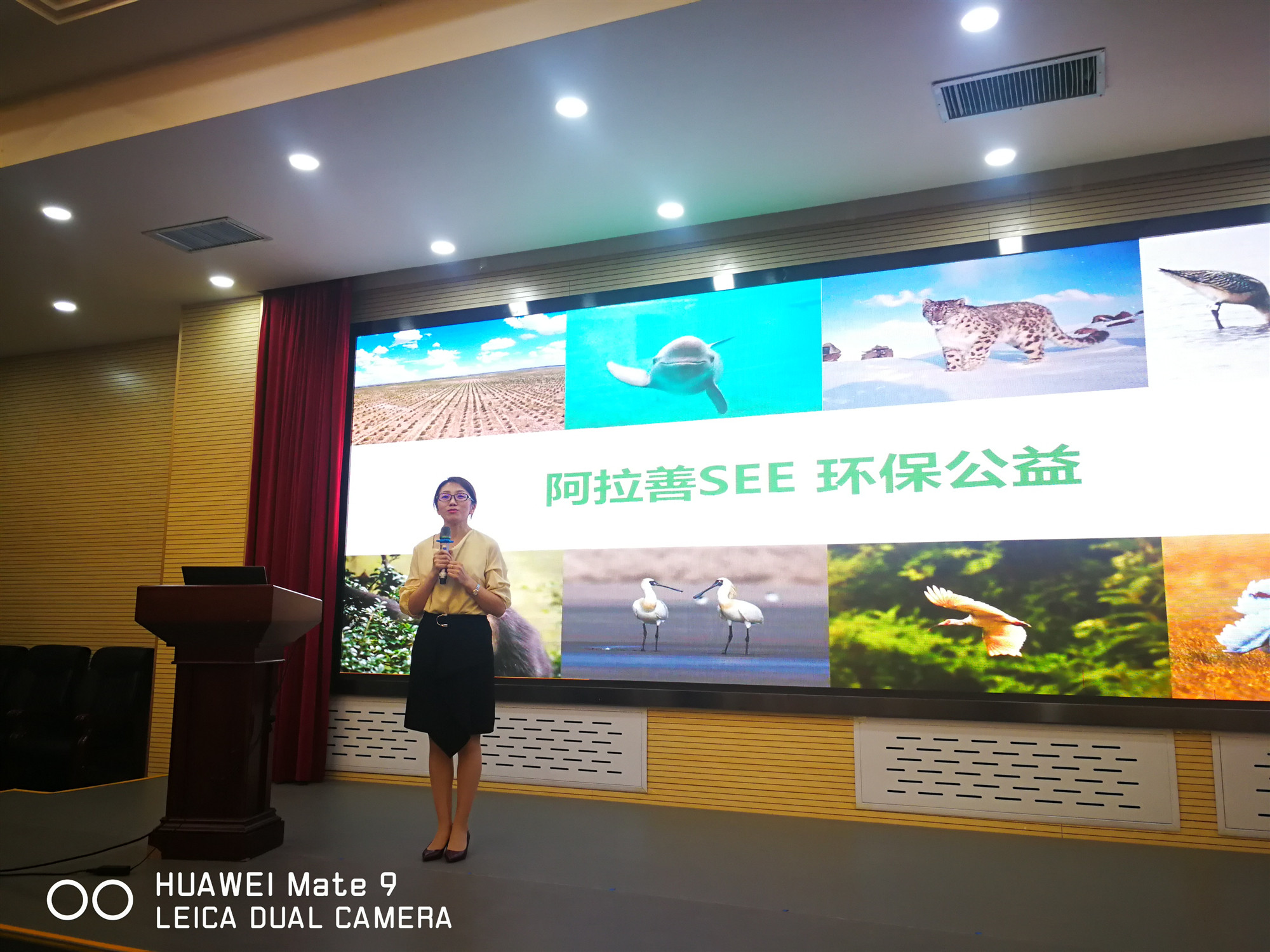 1561616402782040765.jpg 微信图片_20190627133025.jpg