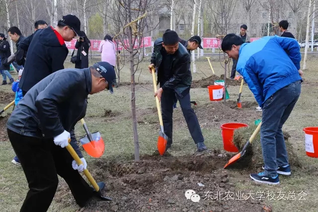 1461827708486028661.jpg 161616.webp.jpg