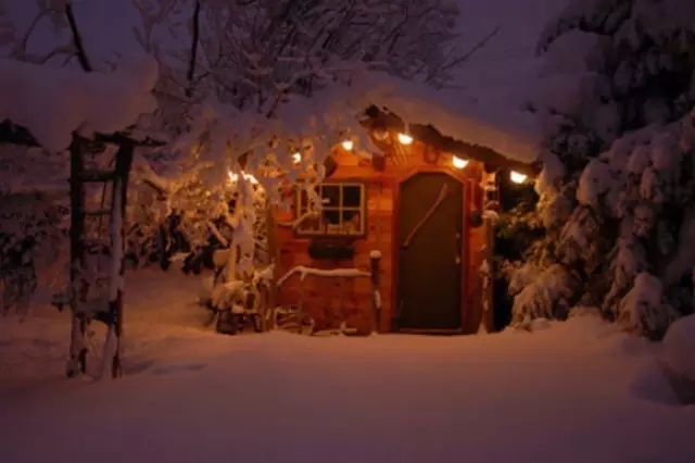 1484200433049007939.jpg 640.webp (3).jpg