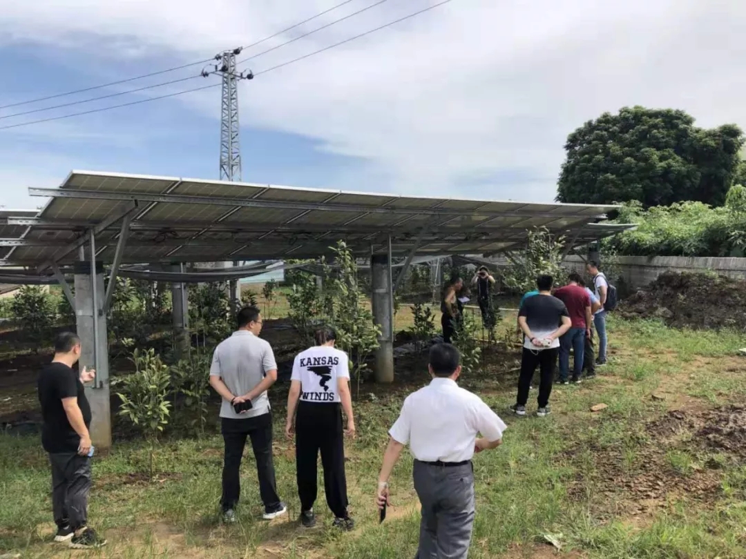 1565925478288004157.jpg 5.webp.jpg