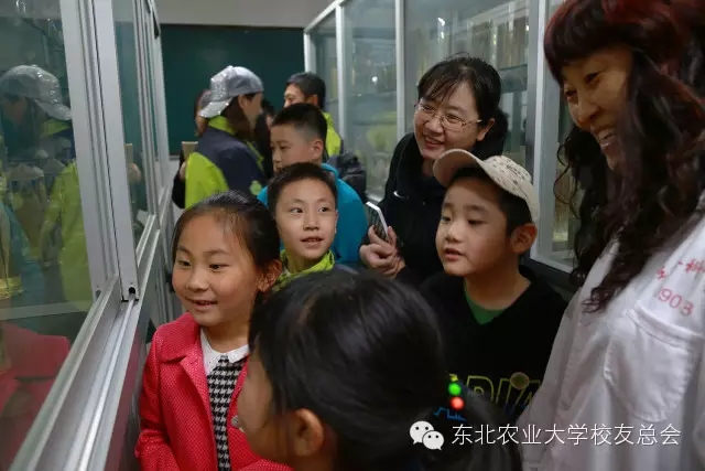 1461827760653072605.jpg 22-22-22.webp.jpg